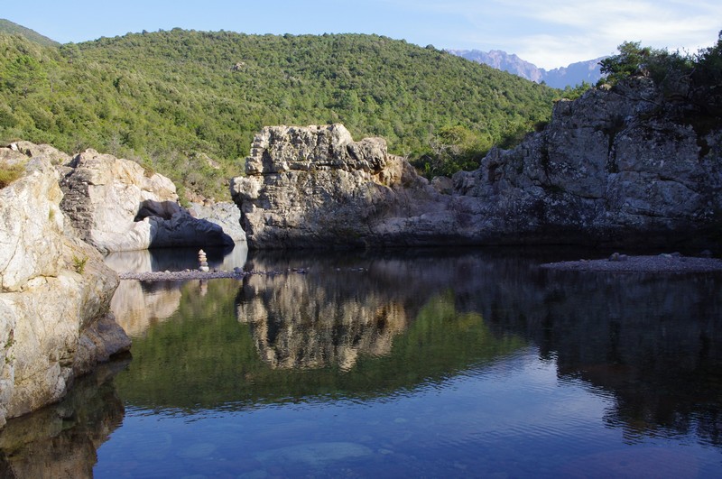  Baignade en rivière et balade en forêt