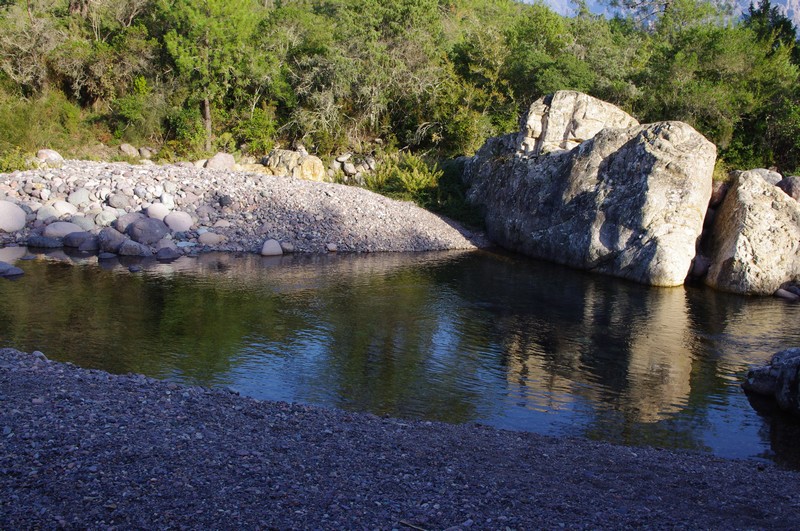  Baignade en rivière et balade en forêt