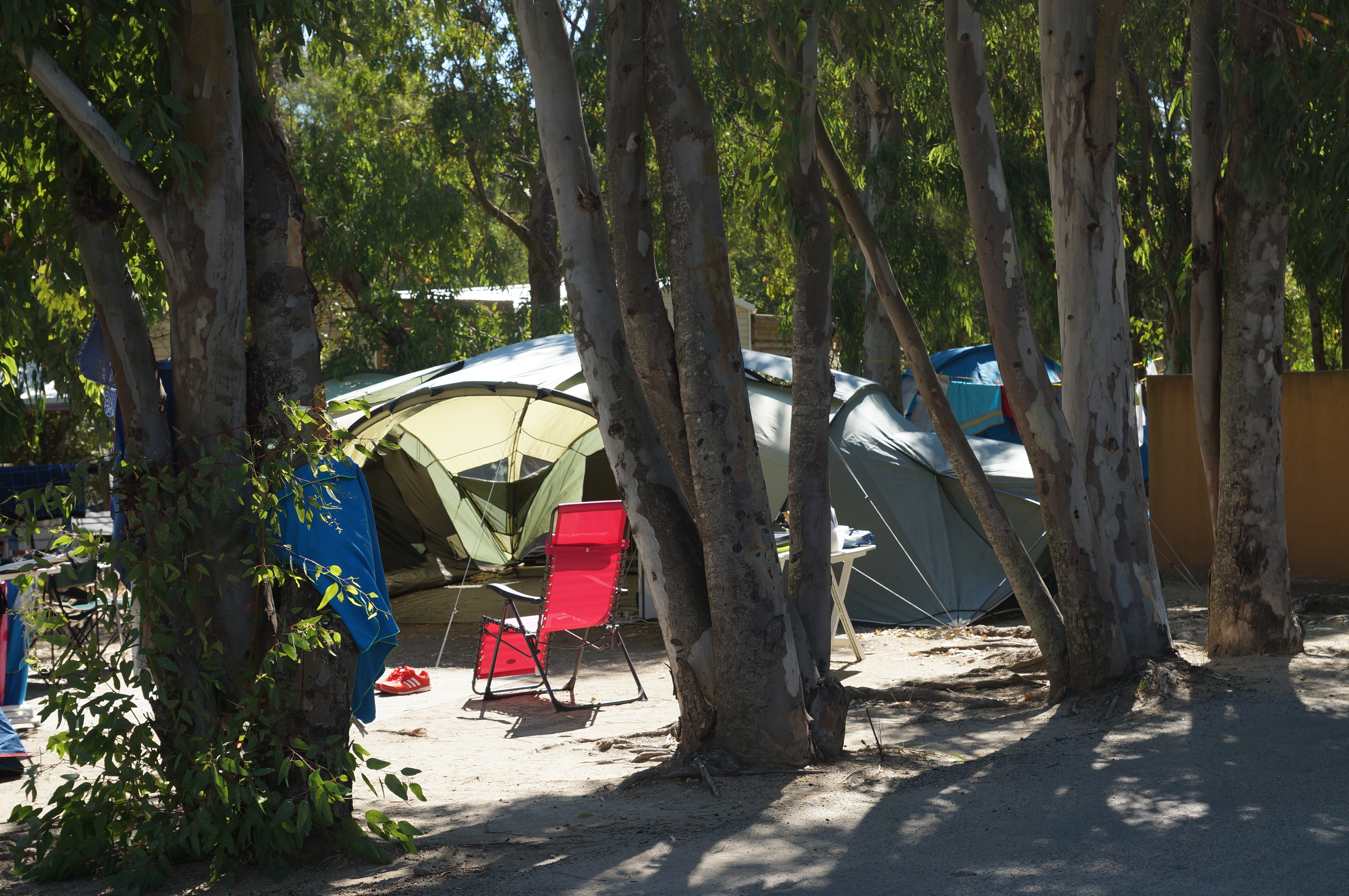  camping 4 étoiles à Calvi