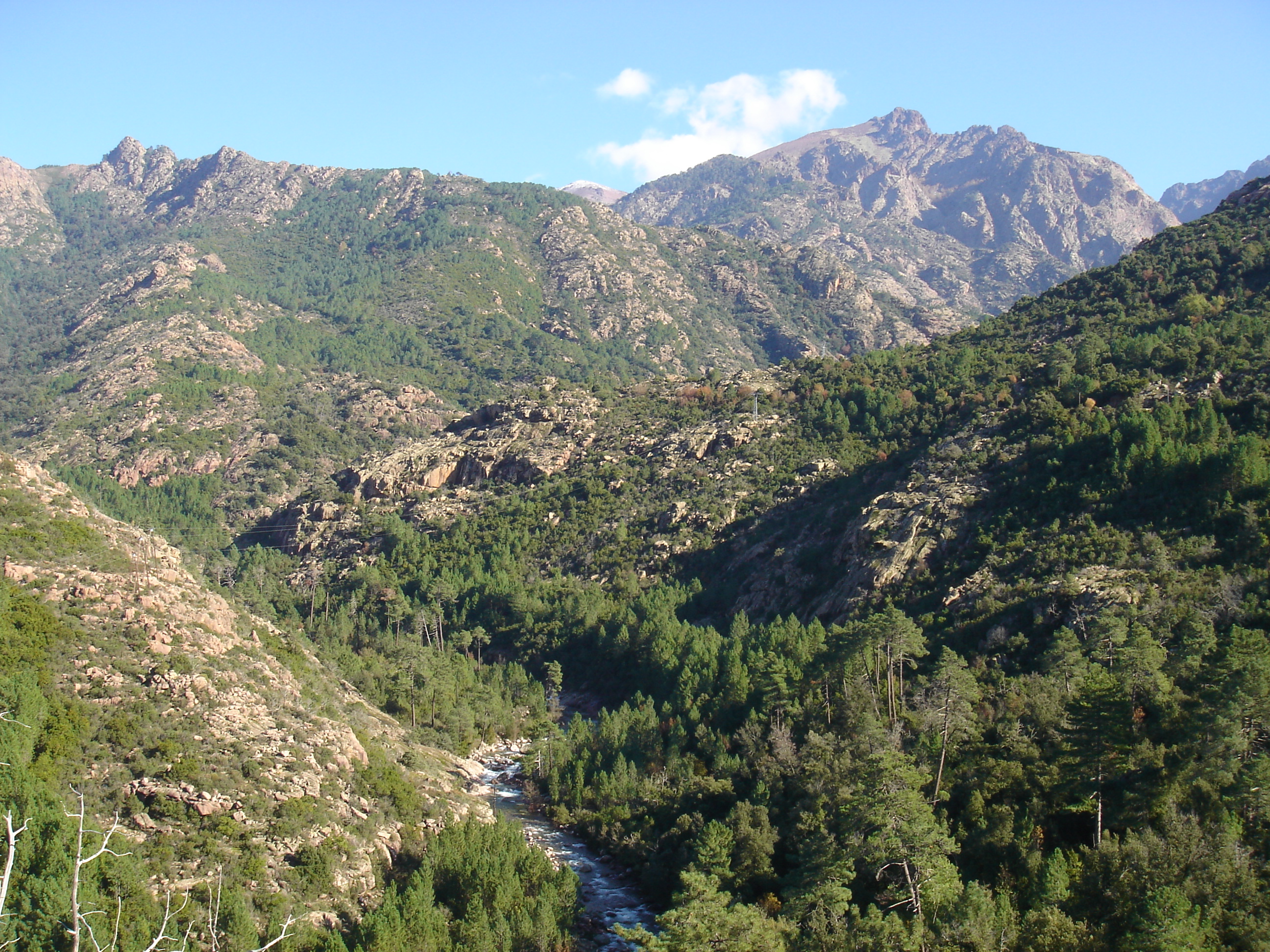  forêt et rivière en Balagne