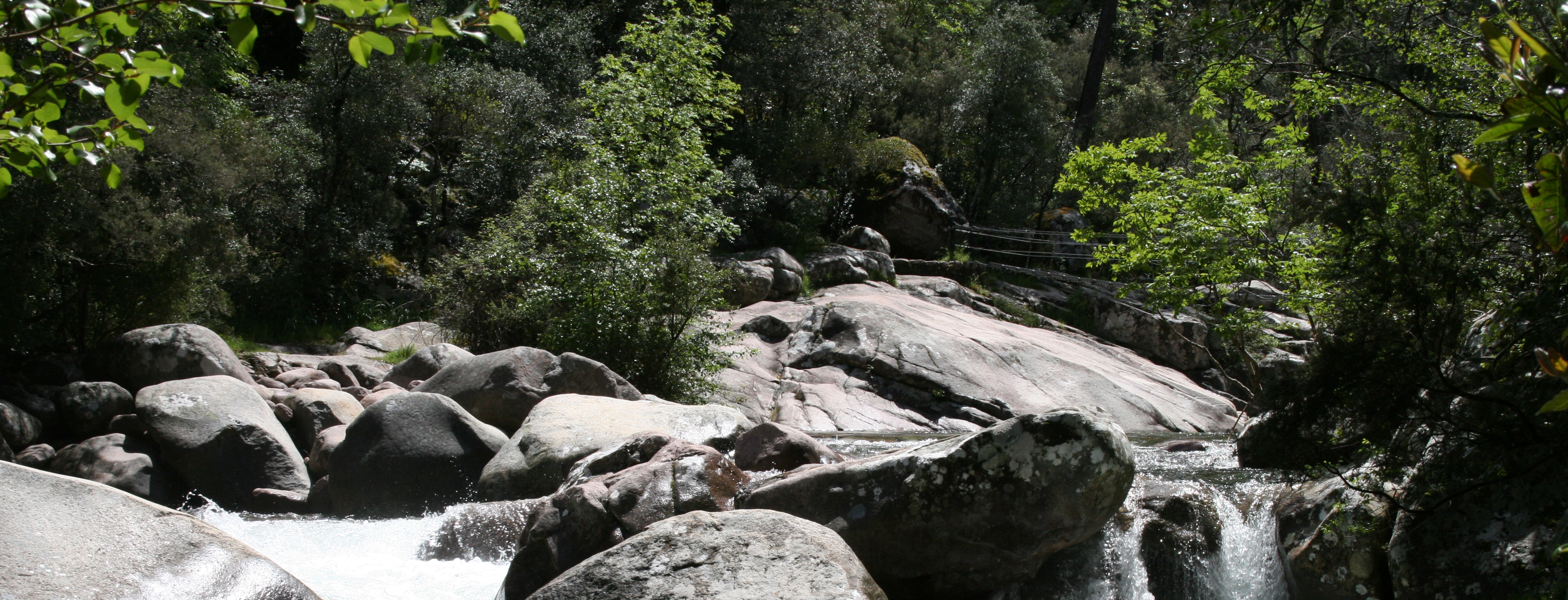  forêt et rivière en Balagne