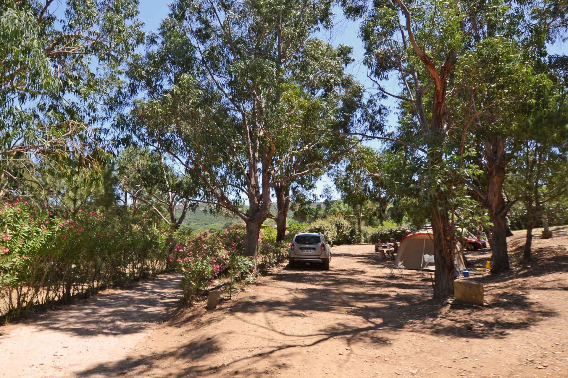  La Matonara