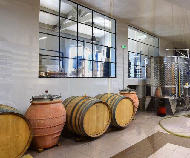  domaine viticole en Balagne