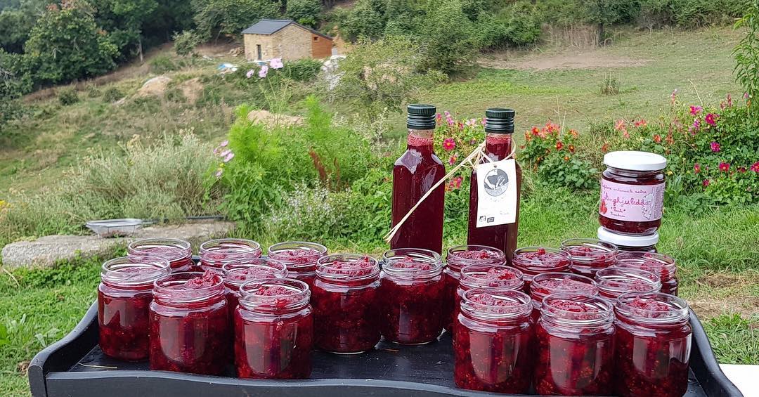  41678506_237655643575355_2931565820926492672_n