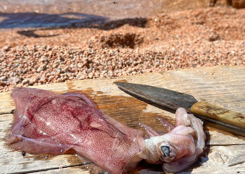  436333700-7201438559983140-5908117383697635597-n