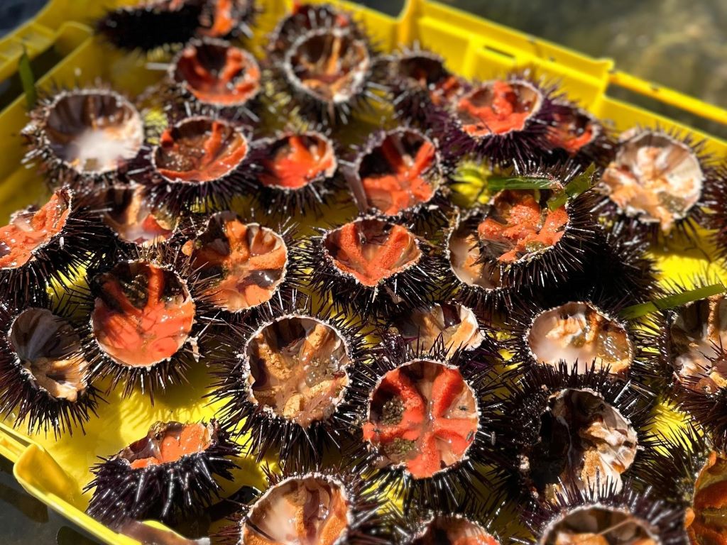  437370266-1863129880800079-780311569629043199-n