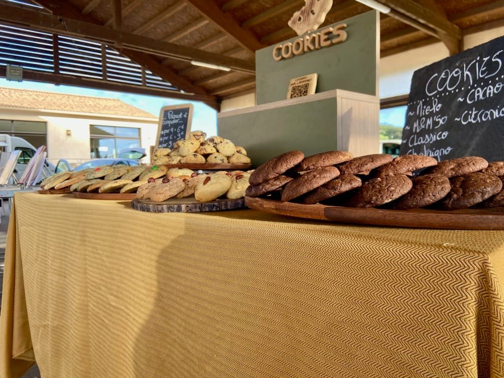  440792968_122142865880210959_1348161566866420447_n