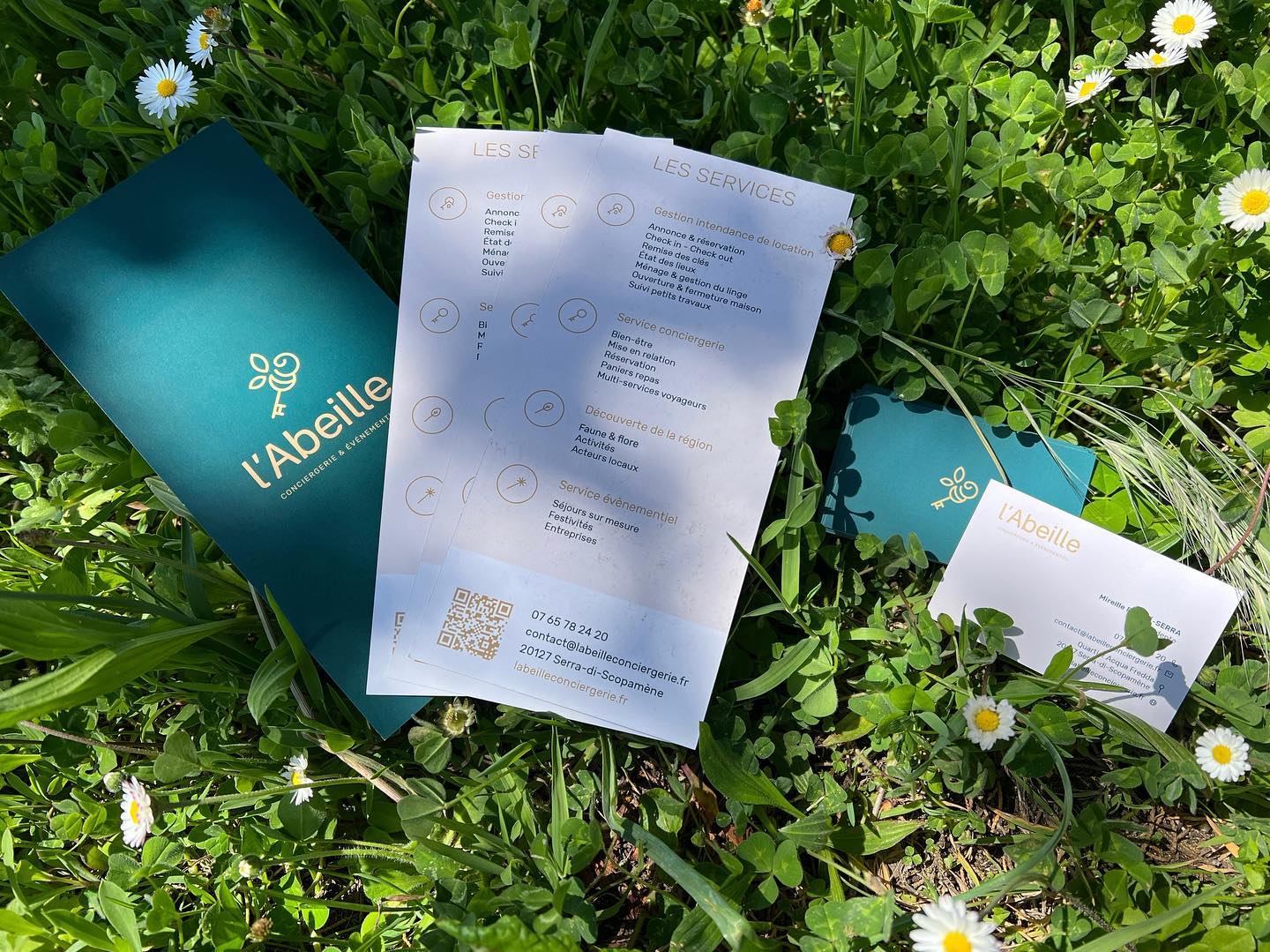  469917023_569552005683296_2218329368985864830_n