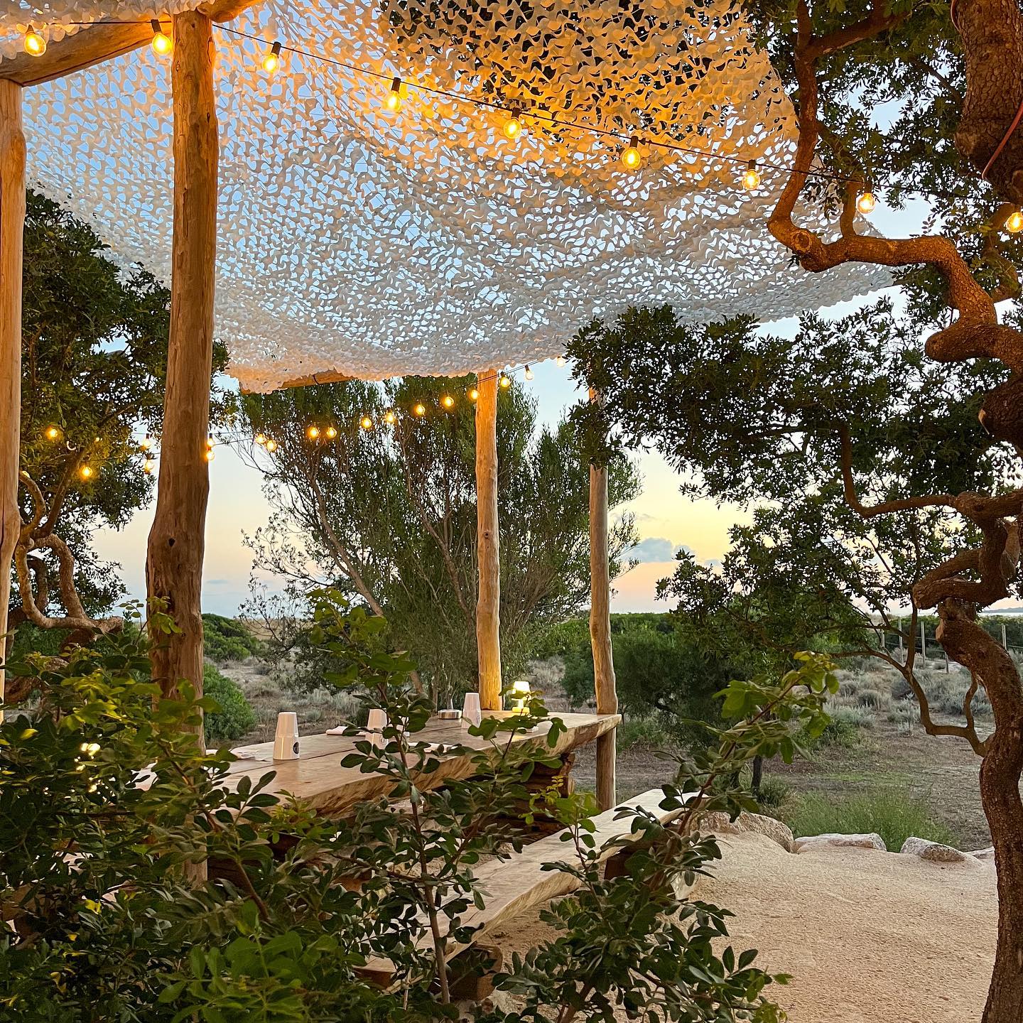  474270265_597282063005732_1625015103651452252_n