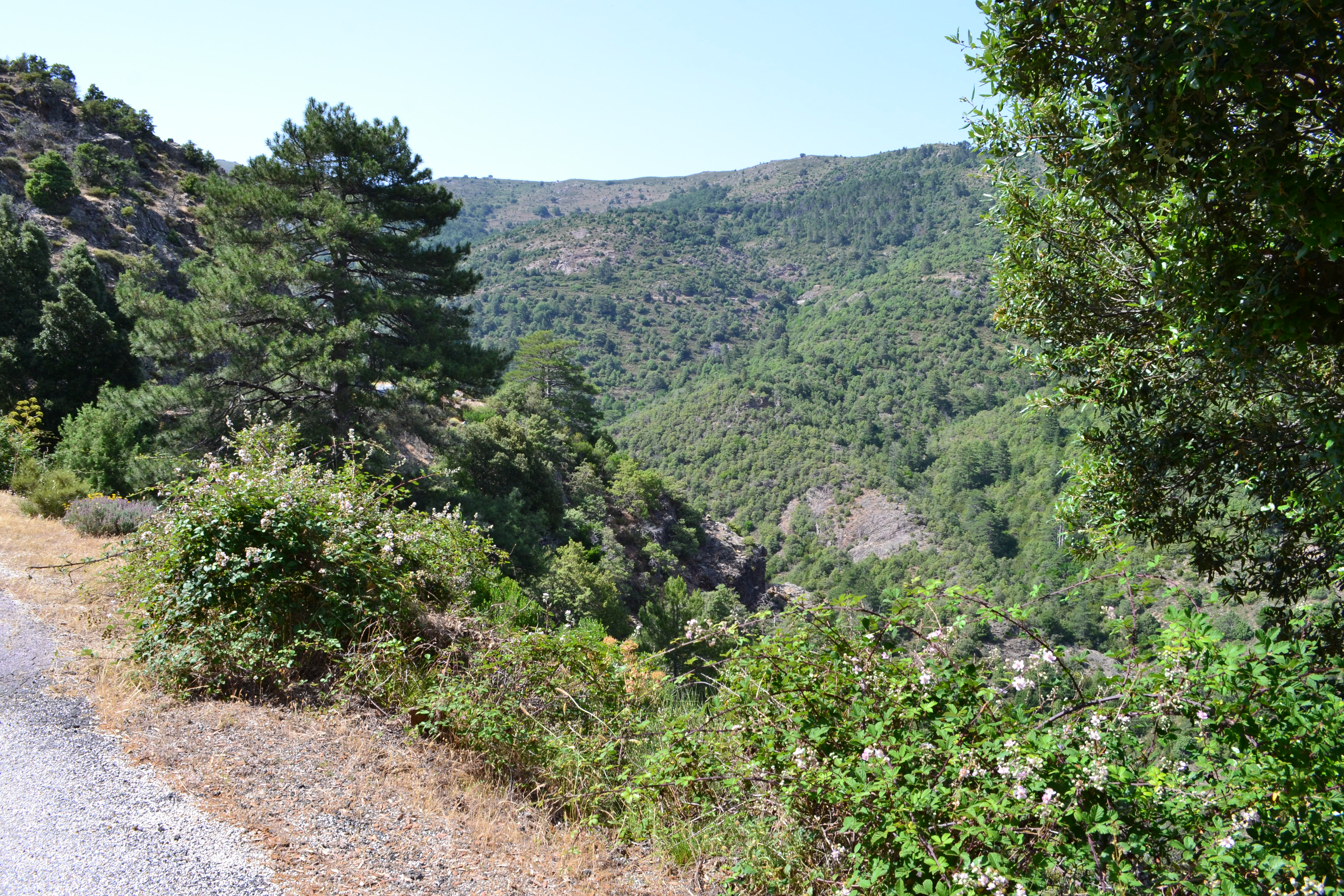  Tartagine Melaghja