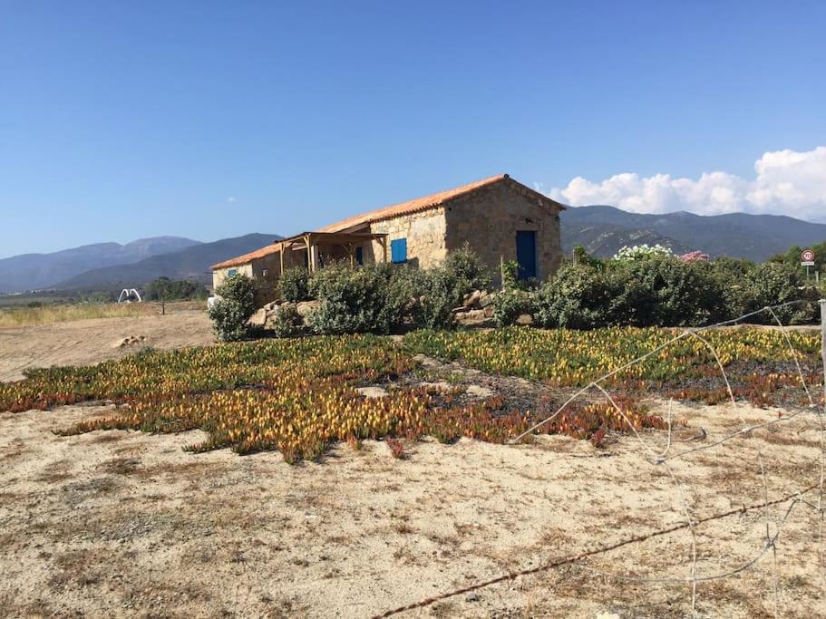  sole e rena plage du liamone
