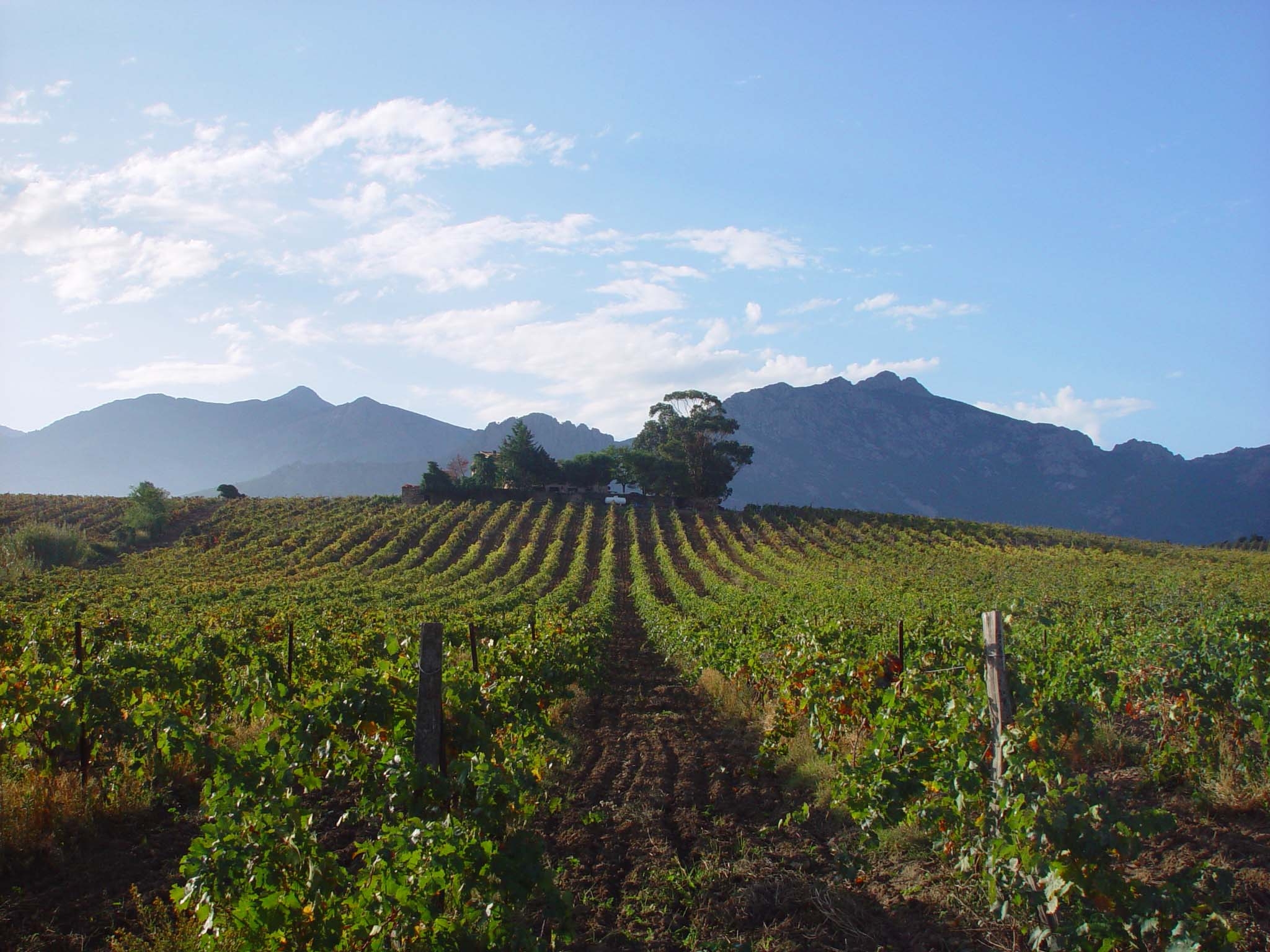  Domaine Figarella - A Ronca en Corse