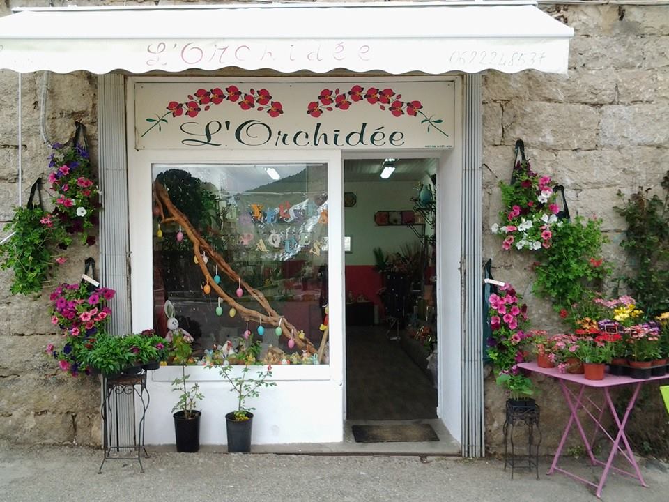  506471284_9950286061733476_2647014919798053582_n