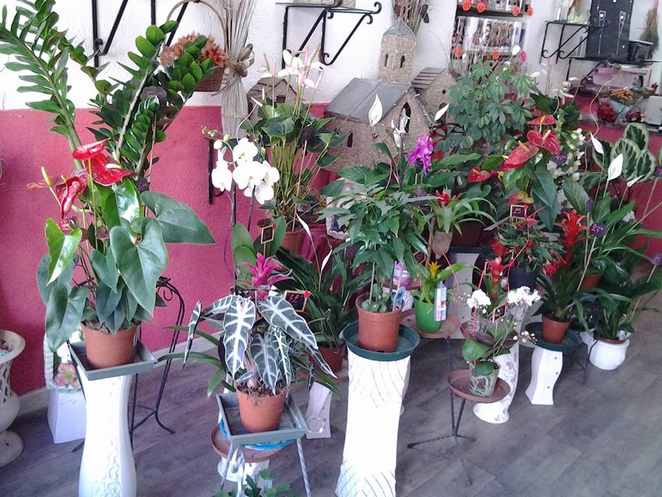  508378389_10002298966532185_7209787725143506068_n