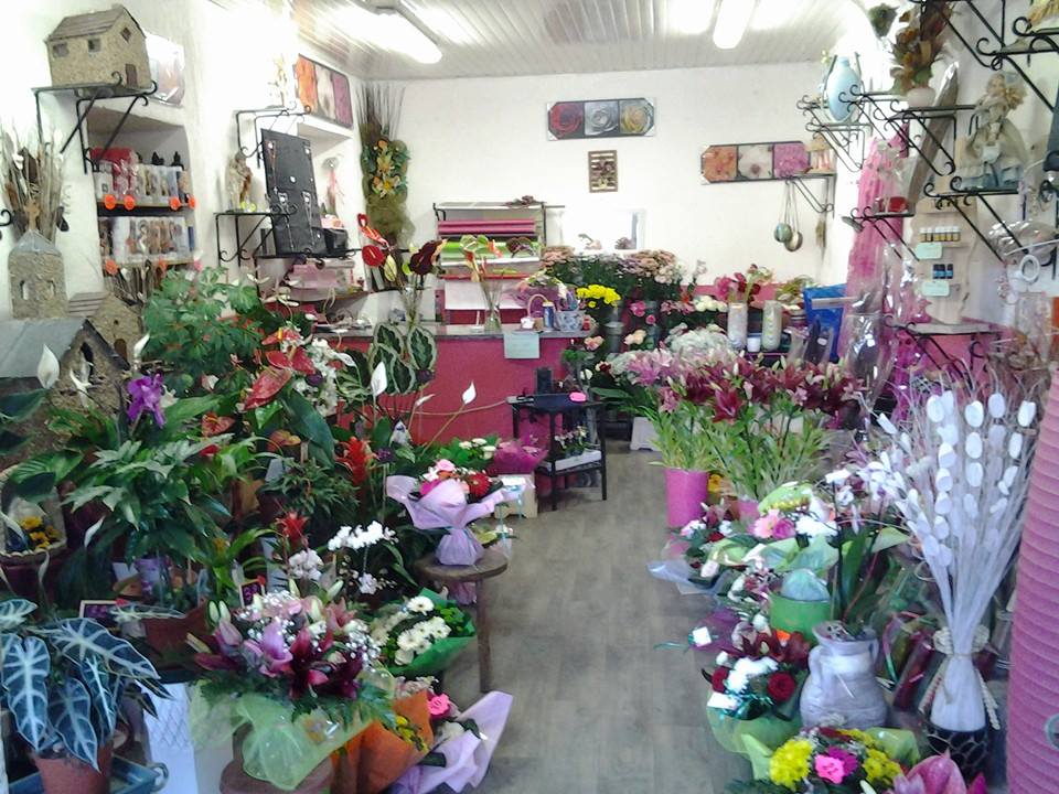  509423123_10002557239839691_3617477176564681690_n