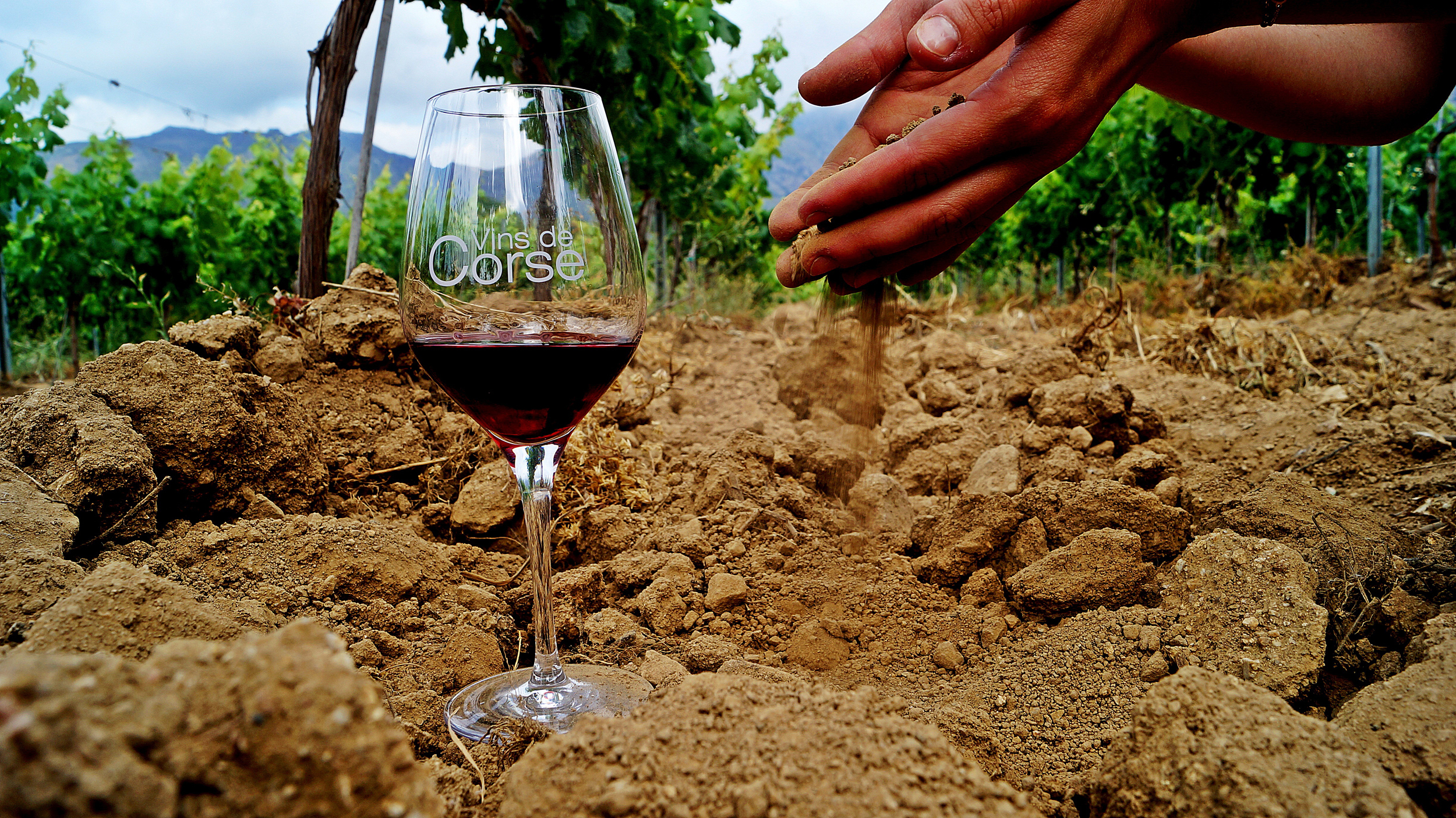  Domaine Alzipratu