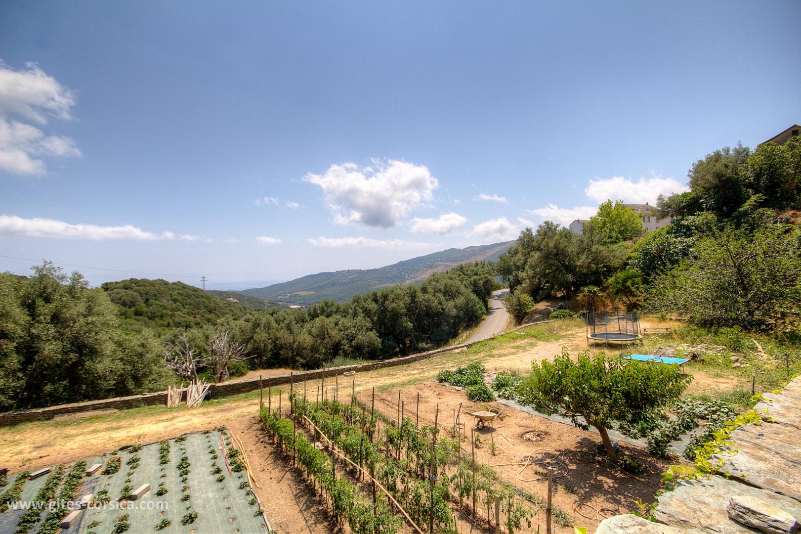 Gîtes de France Corse