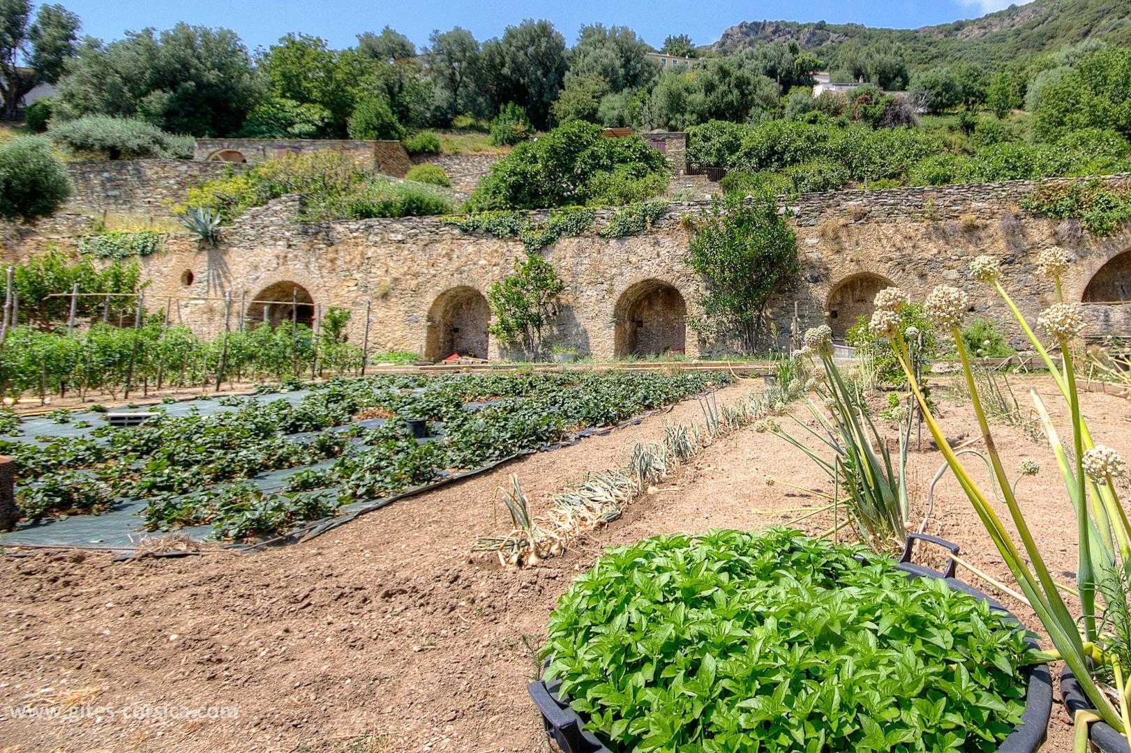 Gîtes de France Corse