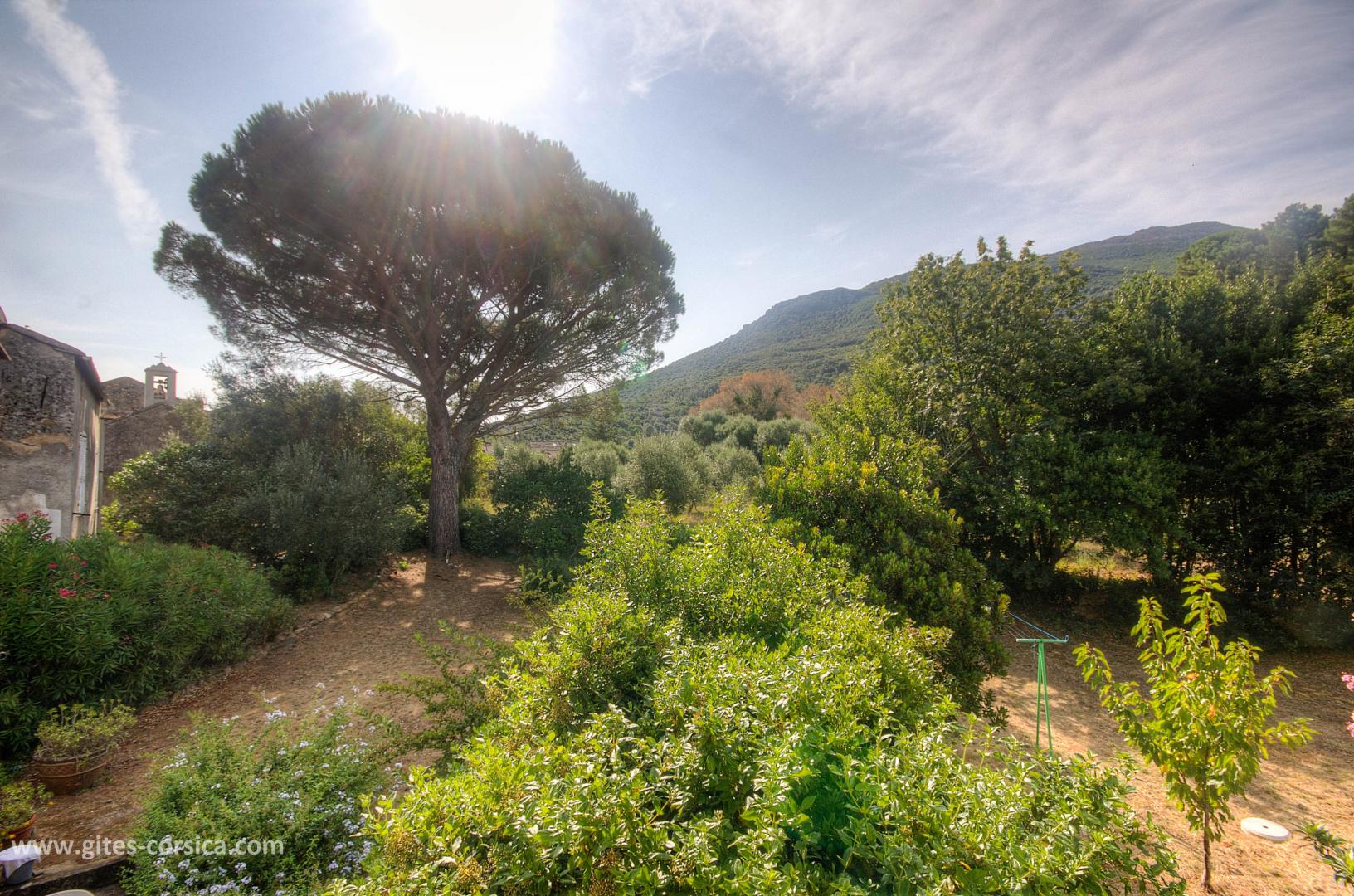 Gîtes de France Corse