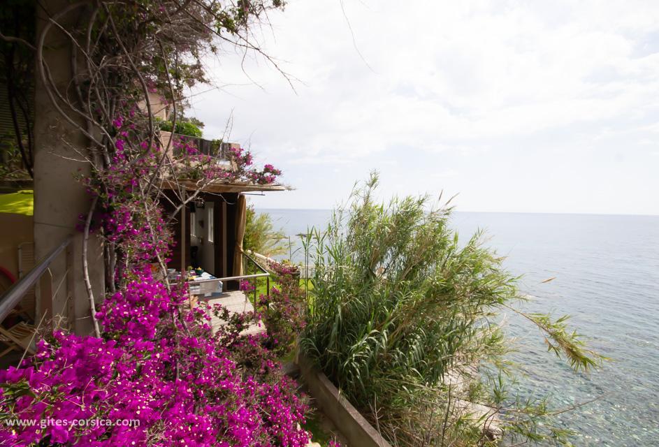 Gîtes de France Corse