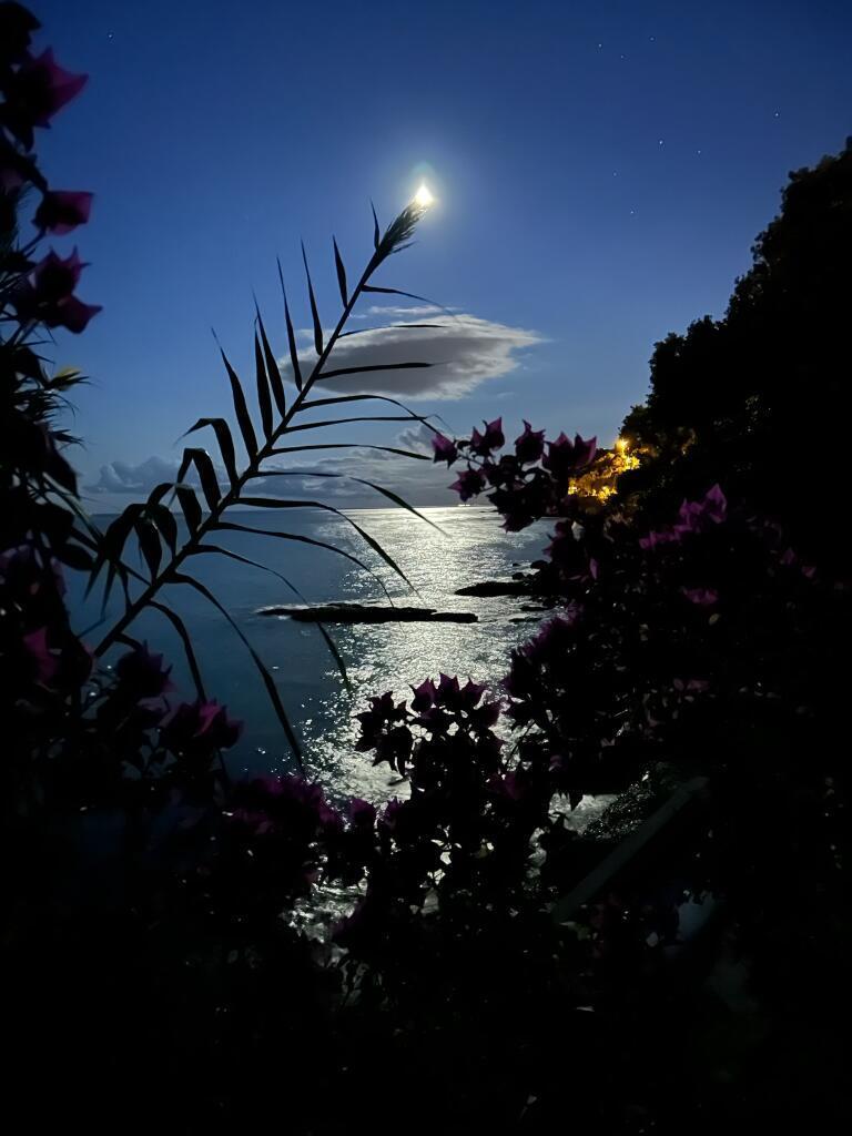 Gîtes de France Corse