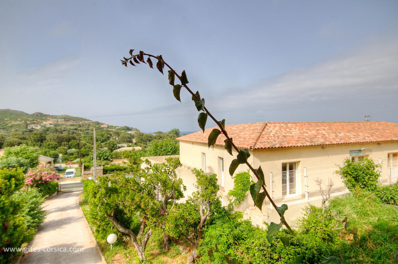 Gîtes de France Corse