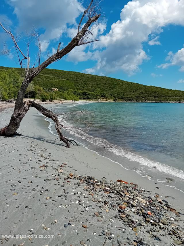 Gîtes de France Corse
