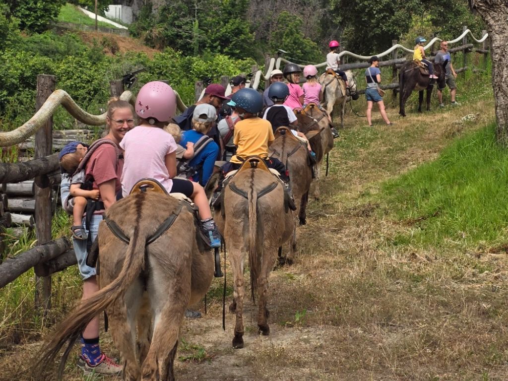  format tourinosft - 9