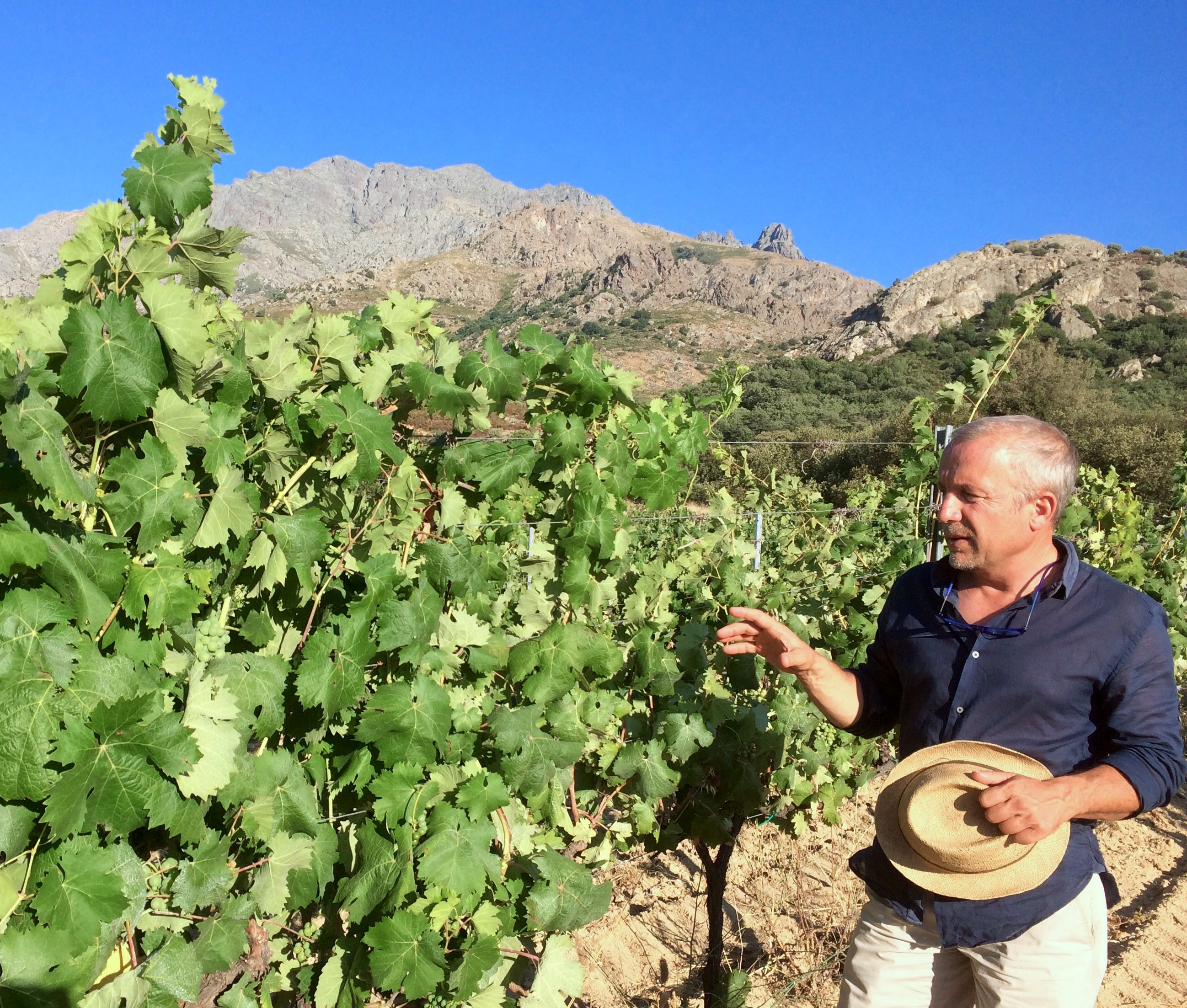  Domaine Alzipratu , vins AOP Calvi