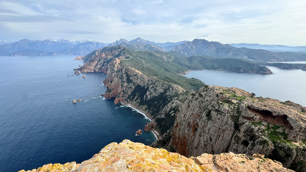  95A2D116-C57A-4328-B4A7-D1808BC055AC