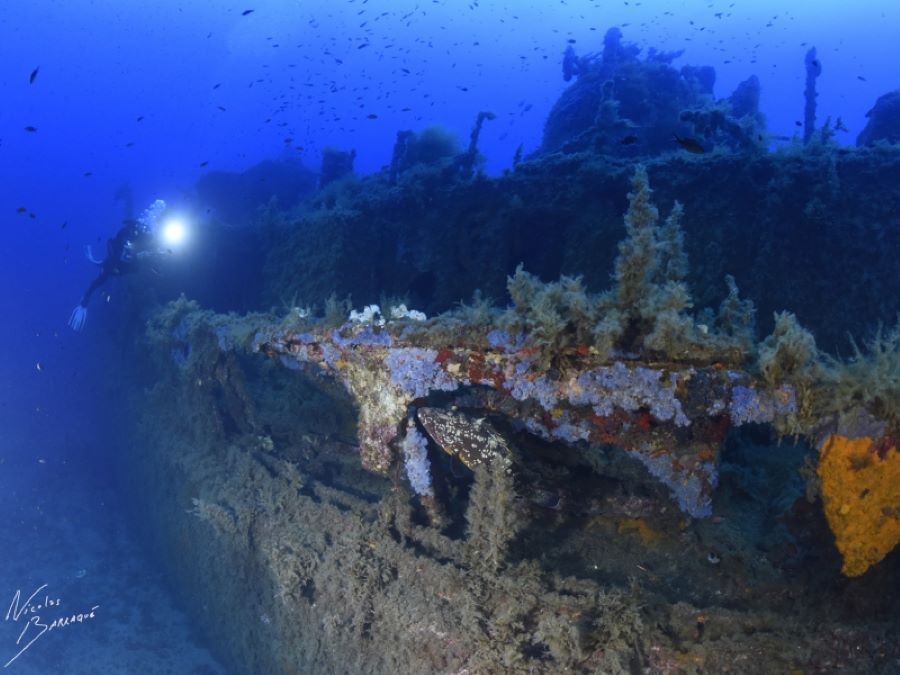  A-MADREPERLA-PLONGEE-SOUS-MARINE-COTE-ORIENTALE-ORIENTE-SUB-POISSONS-24