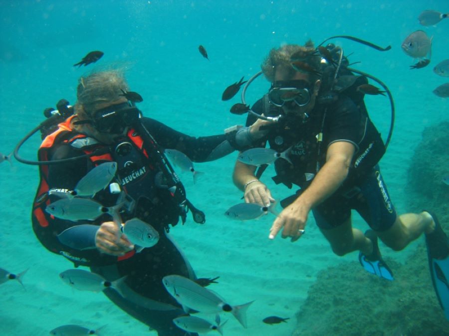  A-MADREPERLA-PLONGEE-SOUS-MARINE-COTE-ORIENTALE-ORIENTE-SUB-POISSONS-34
