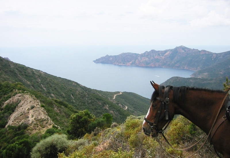  ARBO VALLEY_3_3