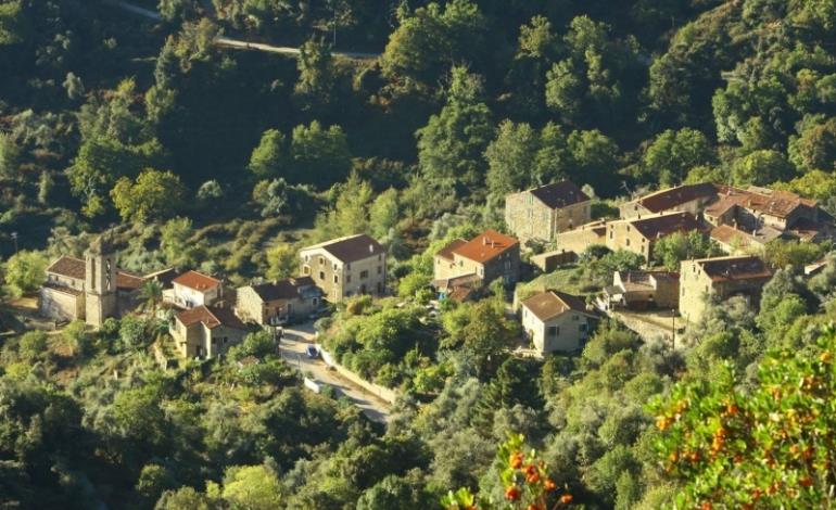  ARBORI_1 Non conosciuto