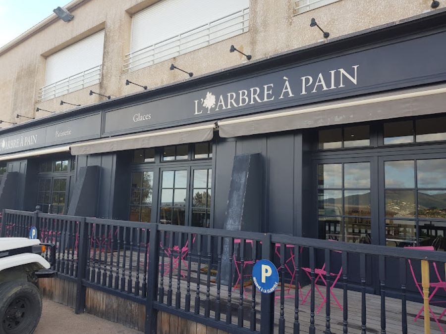  ARBRE-A-PAIN