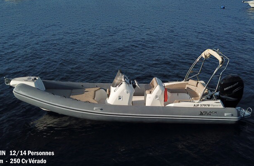  Semi-Rigide Black Fin / 250 Hp VERADO