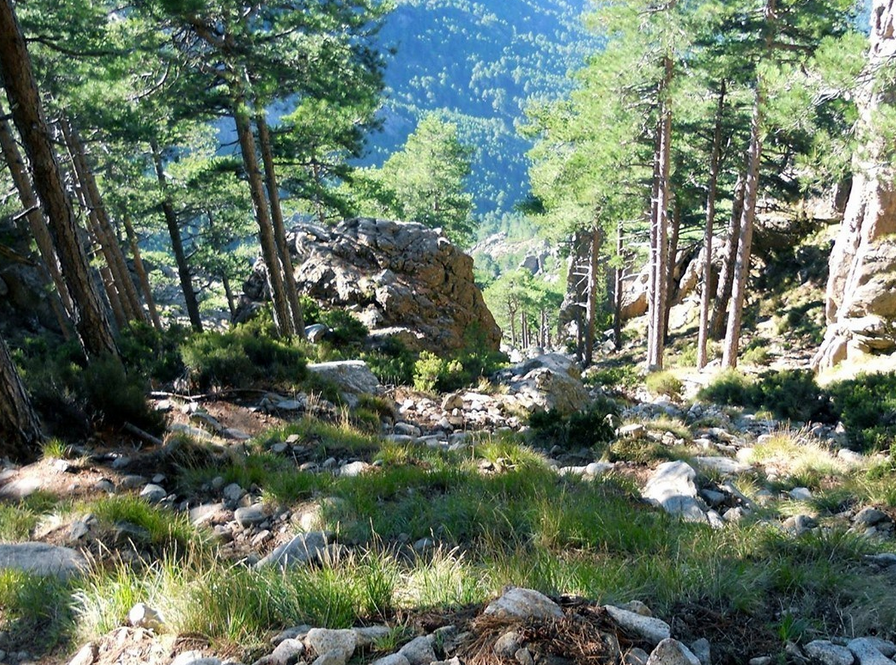 ASCcorserandocanyonAR1