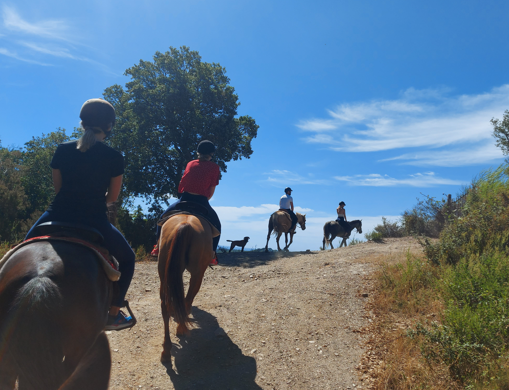 U Santu Pultru, ranch équestre & balades à cheval dans le Sud de la Corse