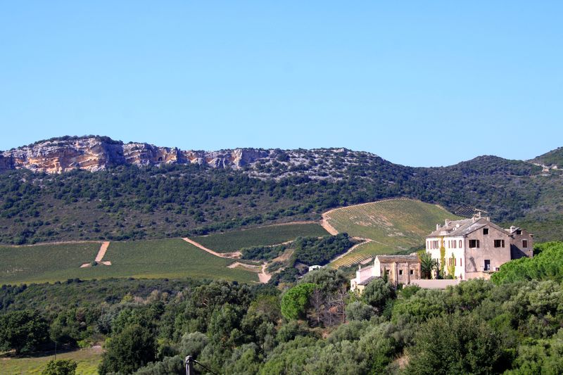  PATRIMONIO