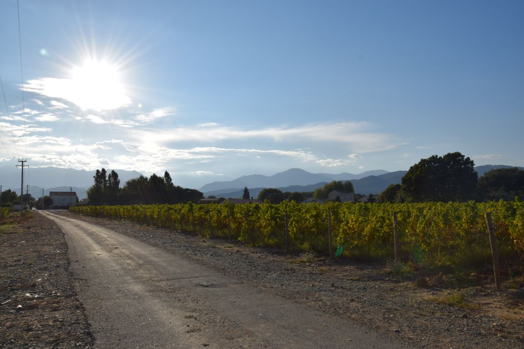  Aghione-Laetitia-Fantin-2015--5-