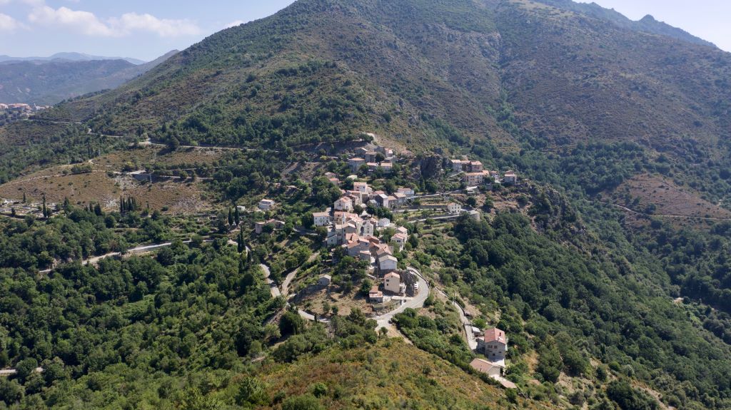  Altiani-2021---SAS--3-