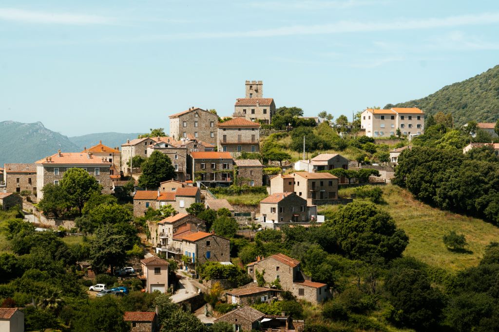  Arbellara