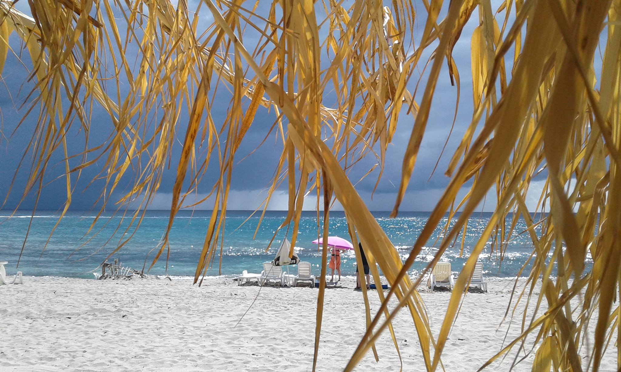  BO 2019 A Siesta page 27 - 2