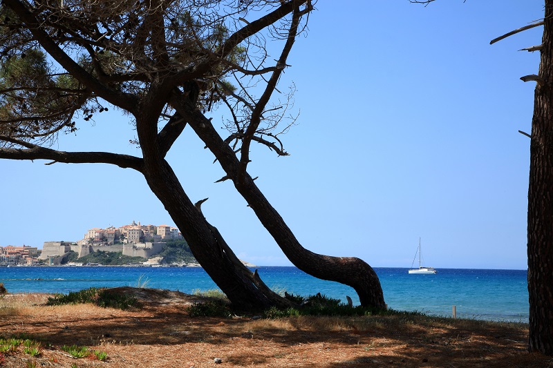  Balagne-Calvi-Pinede