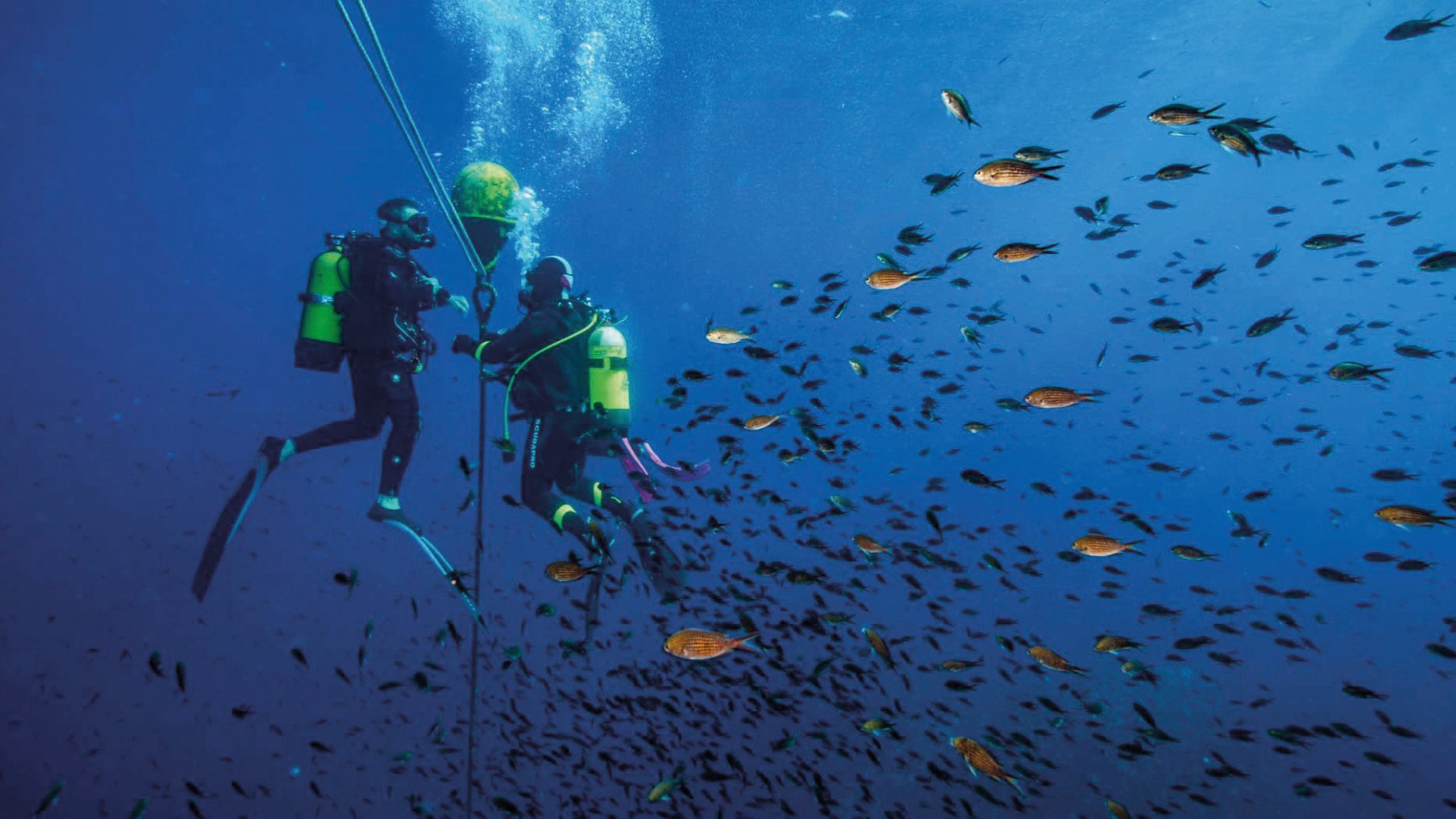  Bandeau_anda_ACT_Bonifacio_Plongée_2021_cmjn (Personnalisé)