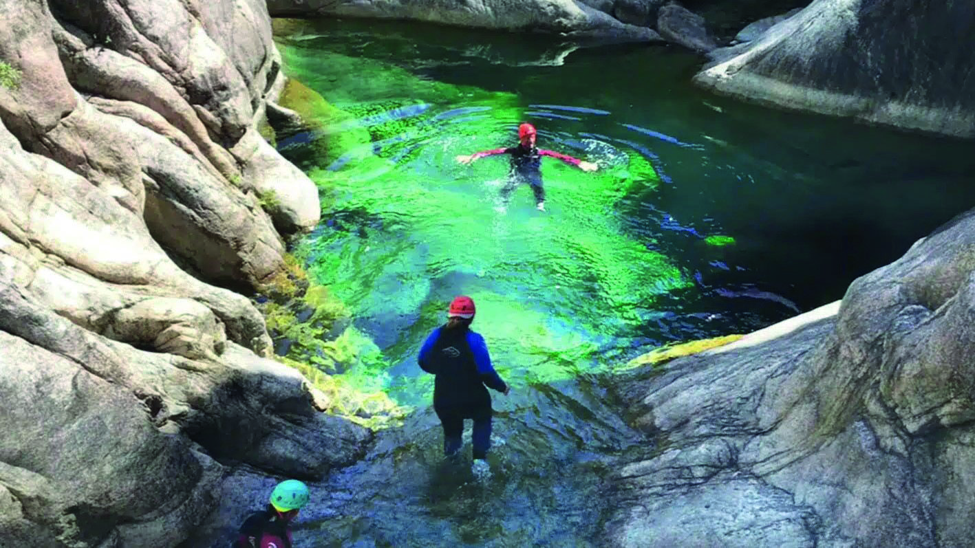 Bandeau_anda_ACT_Corsica_Forest_2024_cmjn