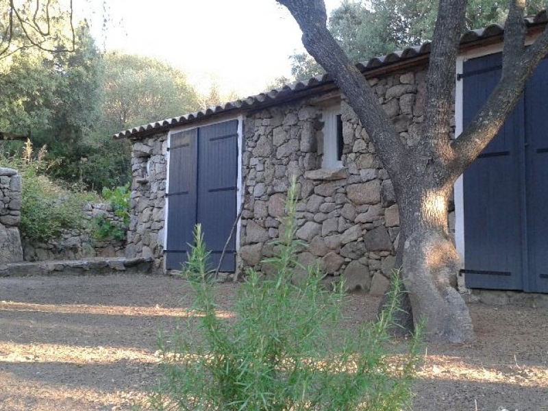  Bergerie cauria corse du sud sartène_5