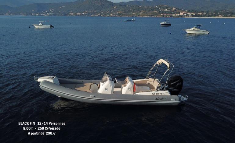 BlackFin - 250Cv Vérado non renseigné BlackFin - 250Cv Vérado non renseigné
