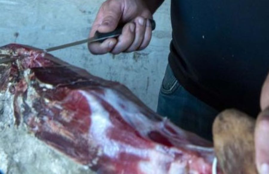  Bourdiec-jcattard-05