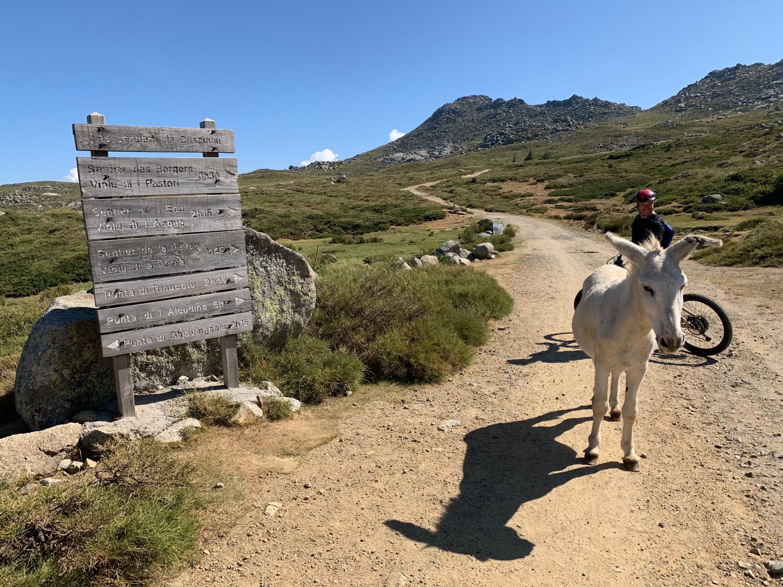  Bucchinera - Plateau du Cuscione ©ATC O Leonetti 2